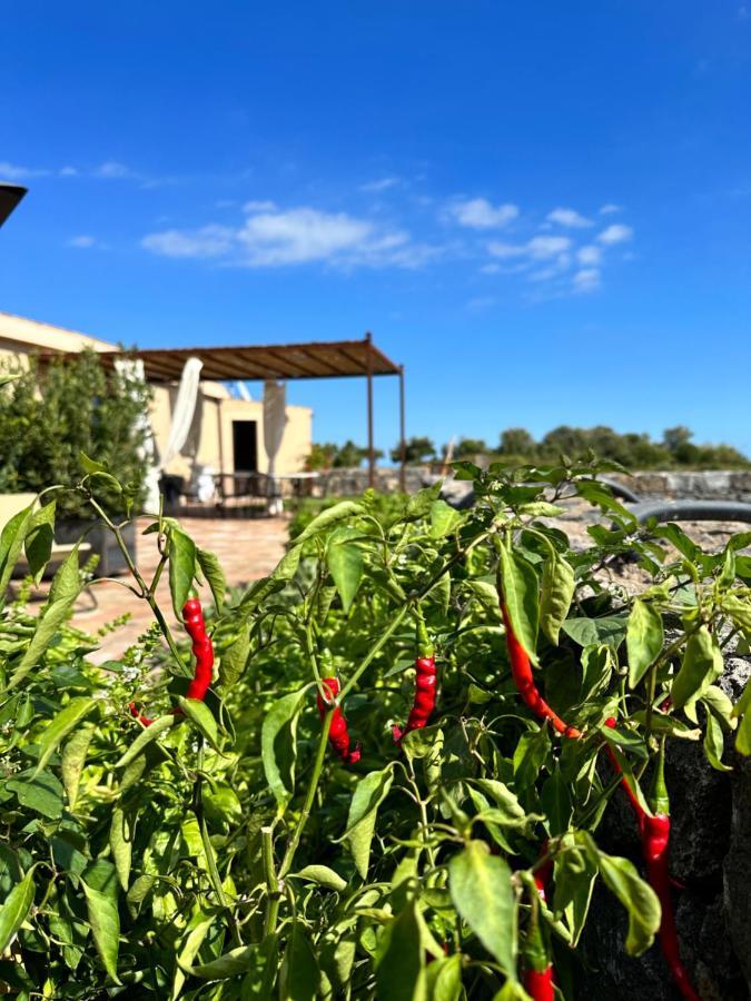 La Cantina Villa Di Campagna Acireale Zewnętrze zdjęcie